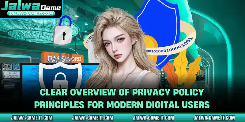 Clear overview of privacy policy principles for modern digital users