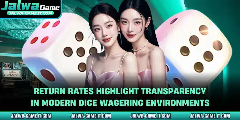 Return rates highlight transparency in modern dice wagering environments